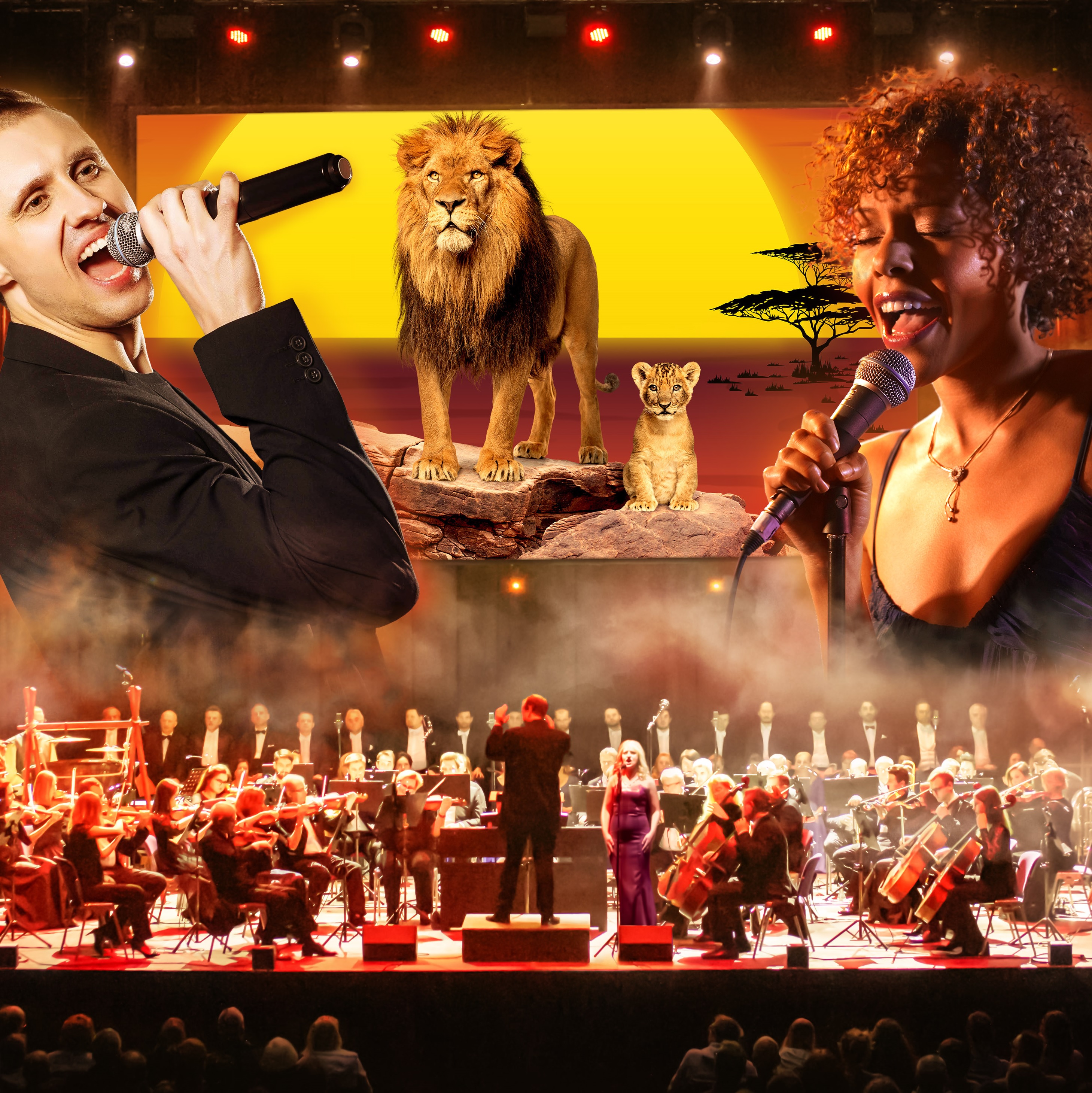 CITY CARD Angebotsbild