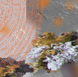 CITY CARD Angebotsbild