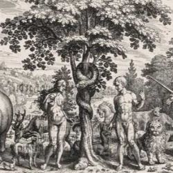 CITY CARD Angebotsbild