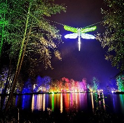 CITY CARD Angebotsbild